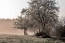 Nebel_auf_den_Knappberg--6.jpg
